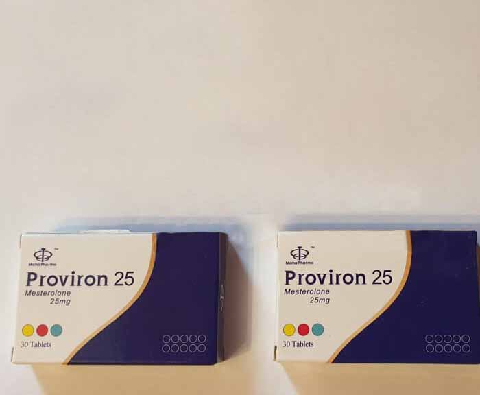 2019年8月23日 イタリア、ローマ