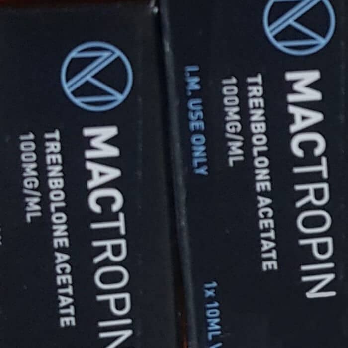 2019年10月8日 ブリュッセル、ベルギー