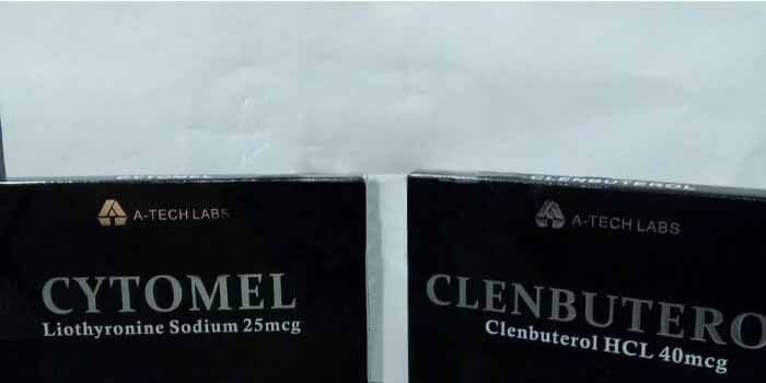 2019年11月4日 オールド・コンデ フランス