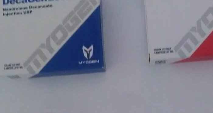 2019.11.13 ヴォー・アン・ヴェラン フランス