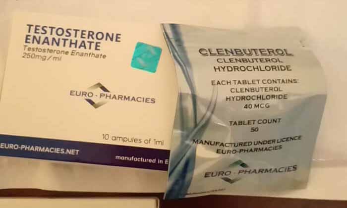 2019年11月19日 フランス、トゥーロン