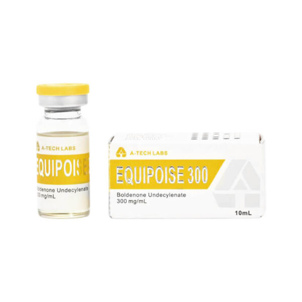 EQUIPOISE300 テックラボ