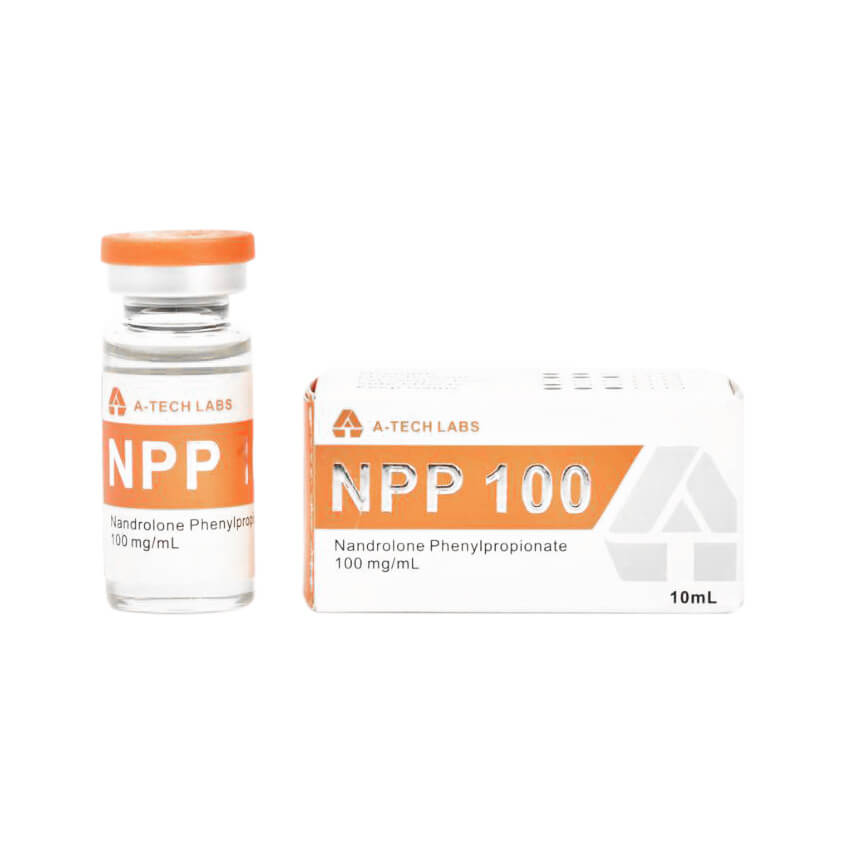 NPP100 テックラボ