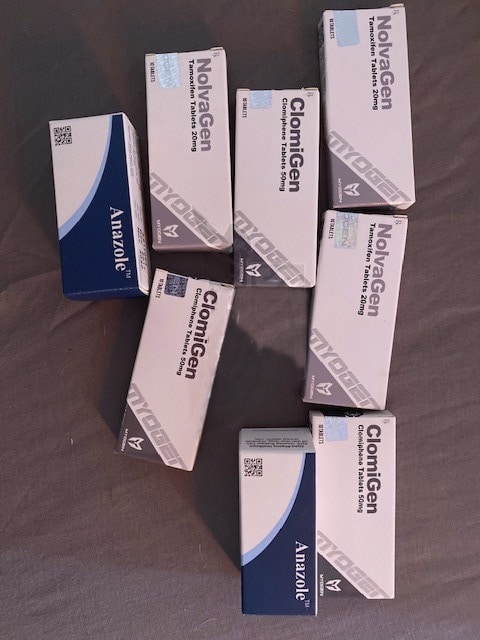 2020年5月14日 ヴィンサ フランス