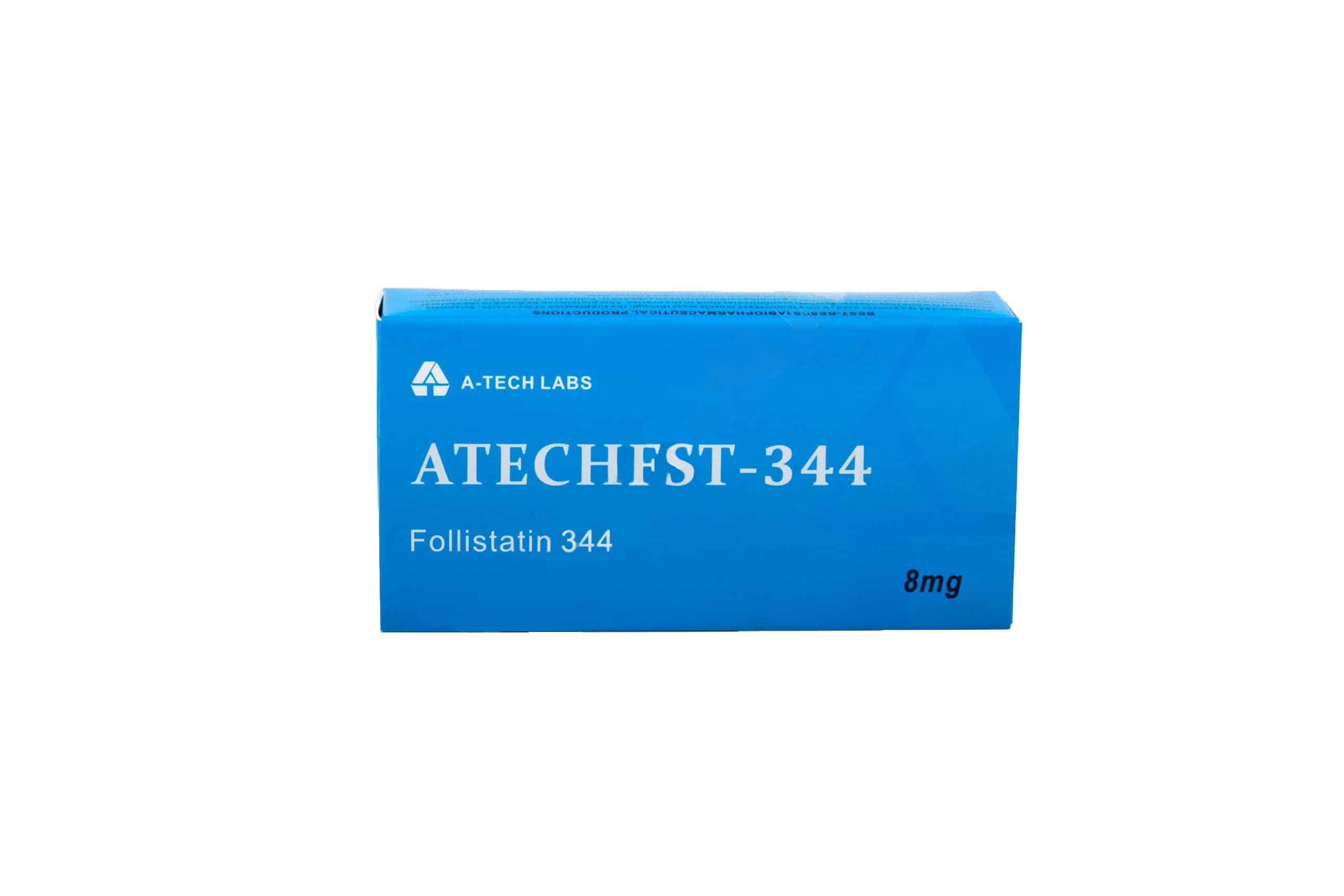 ATECH FST344 スケール