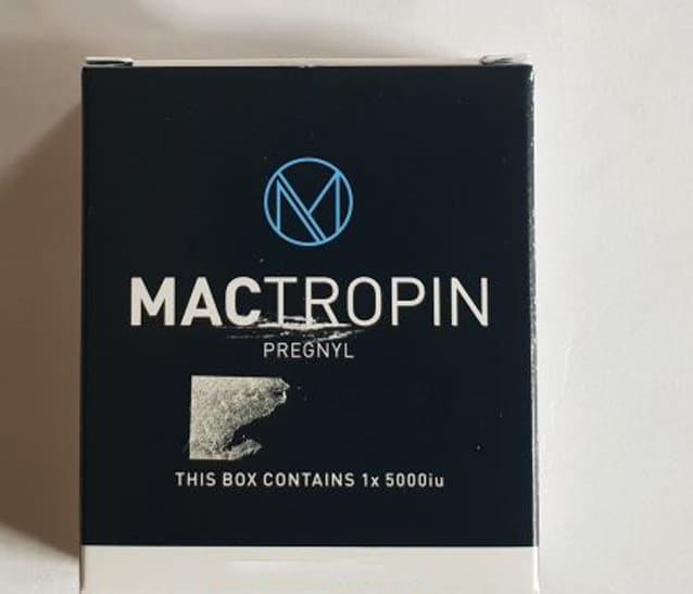 2020年6月11日 フランス、カストル