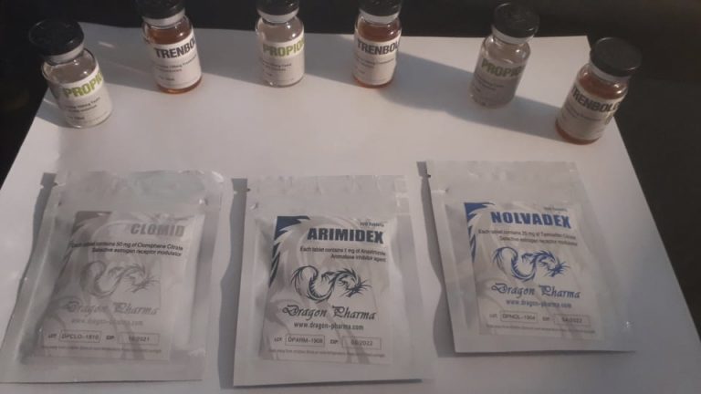 2020年6月30日 フランス、バイヨンヌ