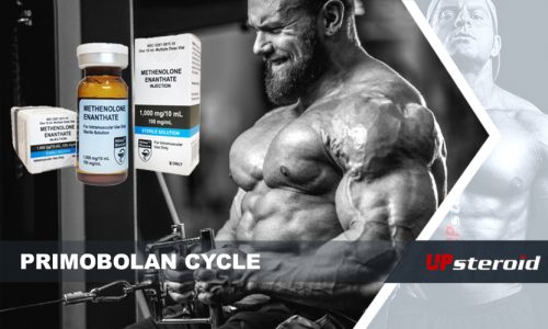 一次サイクル（１）