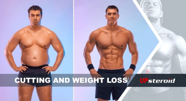 減量に関するブログ記事