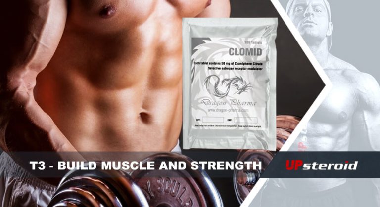 t3アップブログで筋肉増強について