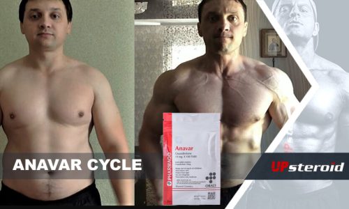 アナバーサイクルのブログを更新