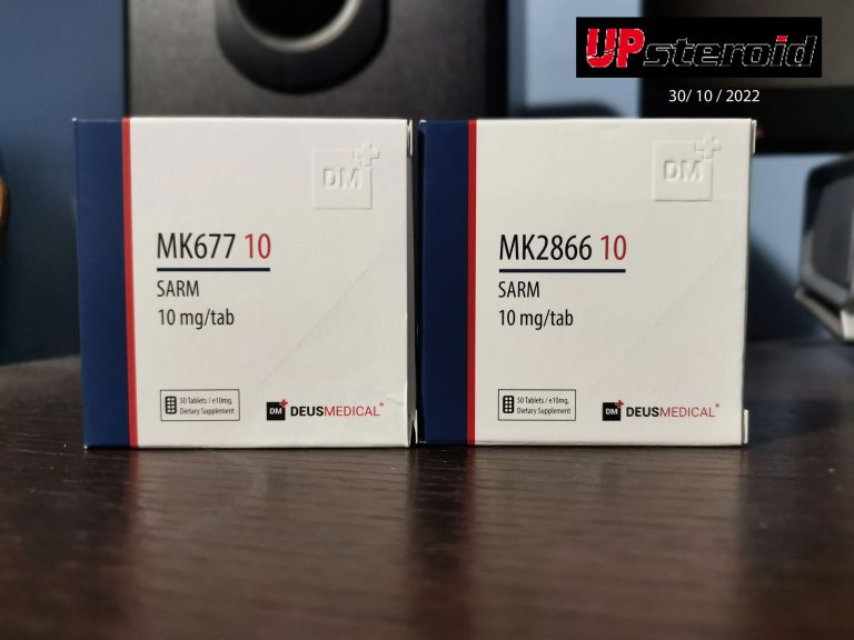 2022年11月3日 6363b86a54077 写真