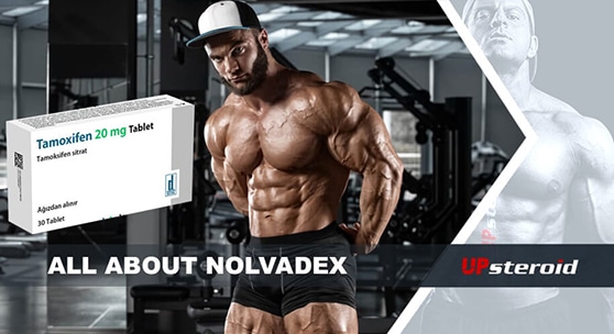 ノルバデックスに関するブログ記事まとめ