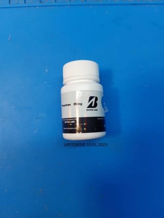 2023 01 10 63bd94e646207 アップステロイド