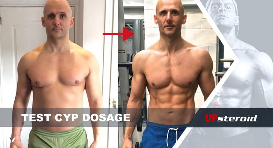 テストステロンシピオネートの投与量に関するブログ情報をアップしました