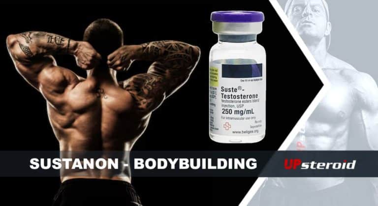 アップブログ サスタボディビルディング