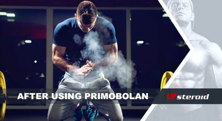 プリモボラン使用後のブログ更新