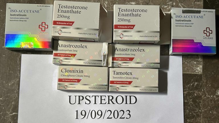 2023年9月19日 6509aaee3493f IMG 29651