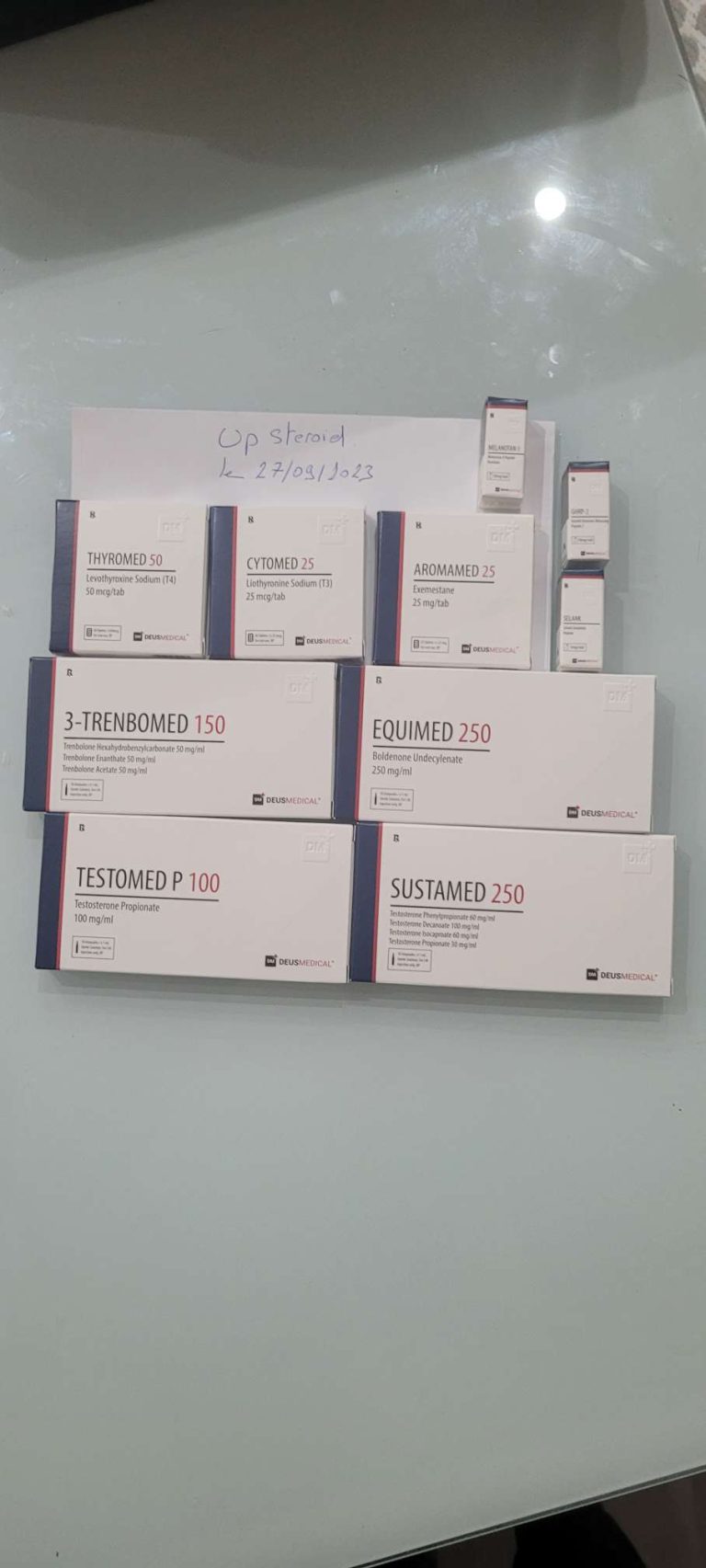 2023 10 10 6525196e83b2c 圧縮 20231010 111118 8239