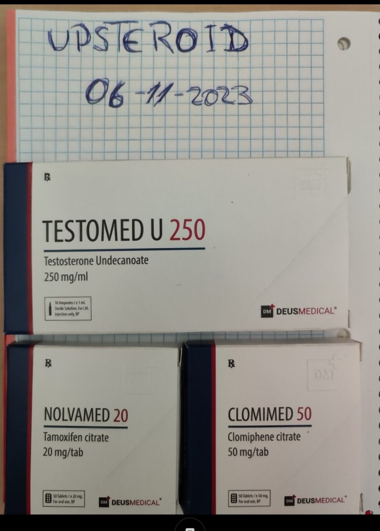 2023 11 09 654cdfec6ab68 スクリーンショット 2023 11 09 11 34 03 063 com.miui .gallery 編集