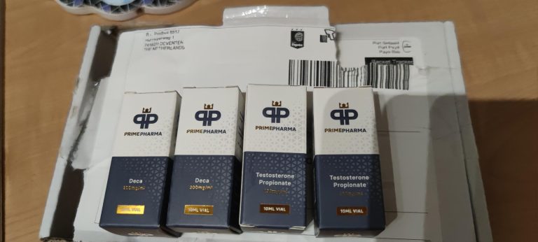 2024年2月27日 65ddae399da25 アップ