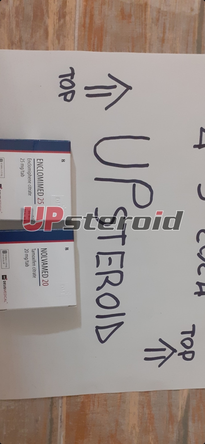 2024 03 04 65e635ce1c044 スクリーンショット 20240304 215539 ギャラリー