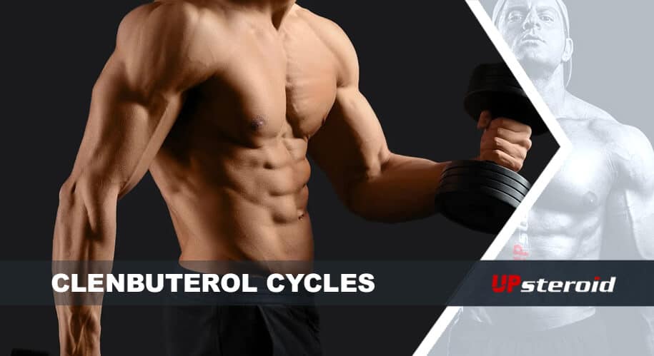 クレンブサイクルのブログを更新