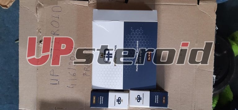 2024年6月4日 665f1d43d68b5 HGH