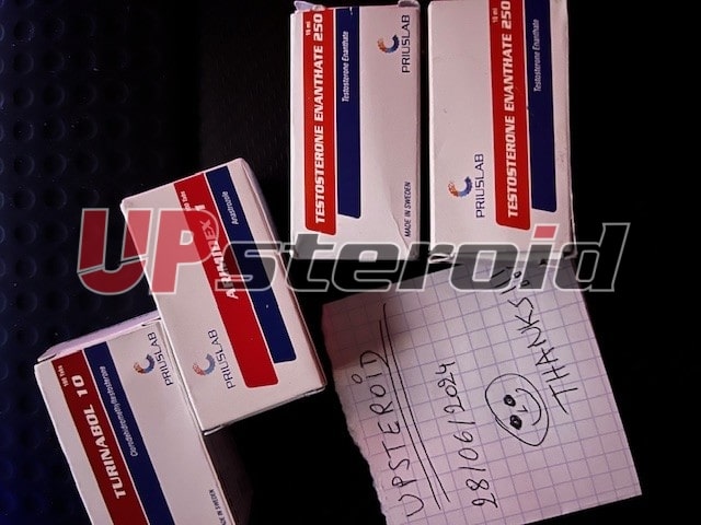 2024年6月30日 6681ef9083575 アップステロイド