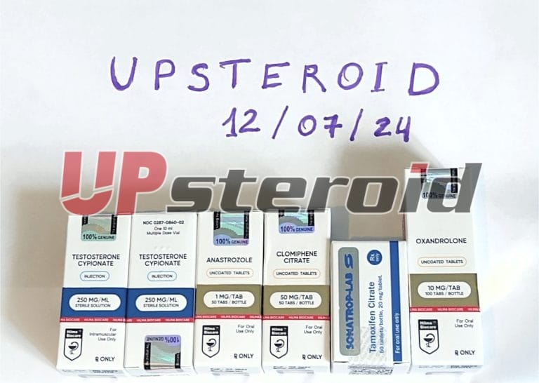 2024年7月13日 66927cbd1d2f5 アップ