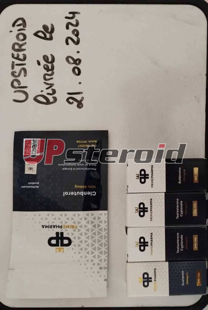 2024 08 22 66c7402cccfb7 メッセンジャー作成 0d43f1c6 18cf 4778 899a 755a60d58aa1