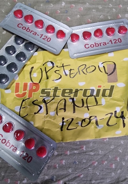 2024 09 12 66e380642c4ba レタッチ 2024091301554147