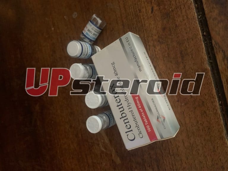 2024年9月23日 66f1805e5619f IMG 6173