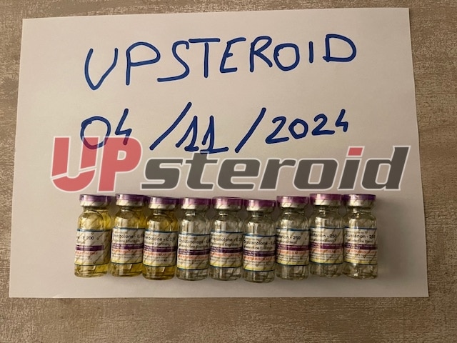 2024 11 04 6728e29c7e2b6 画像0