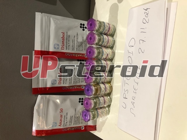 2024年12月13日 675bedb2ee798 IMG 5201