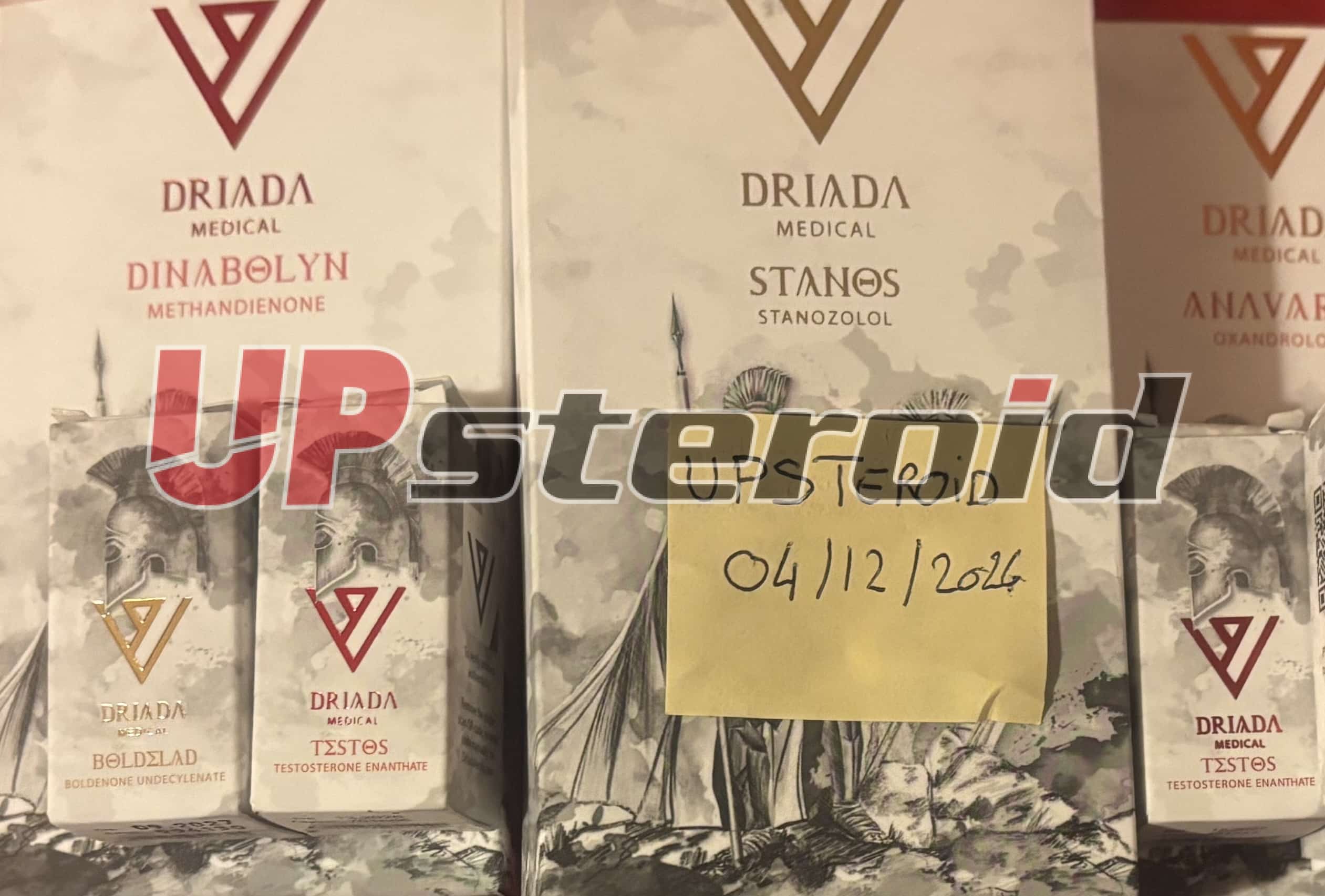 2024年12月17日 6761e4e12034f IMG 0466