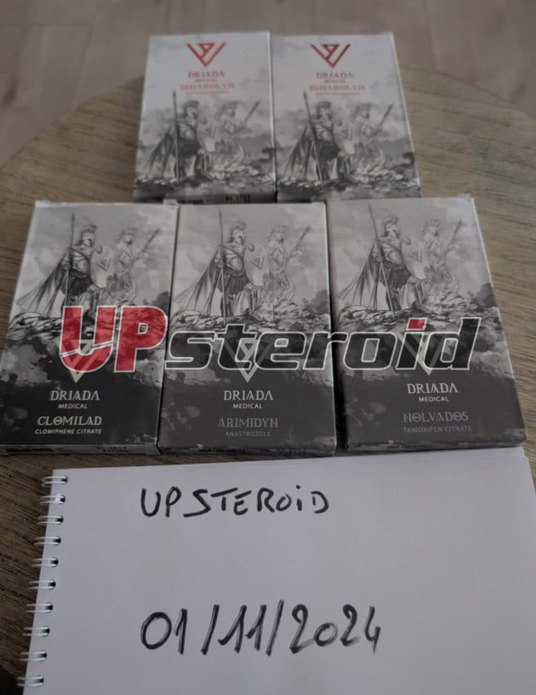 2024 12 27 676e8f1680731 スクリーンショット 20241227 122649