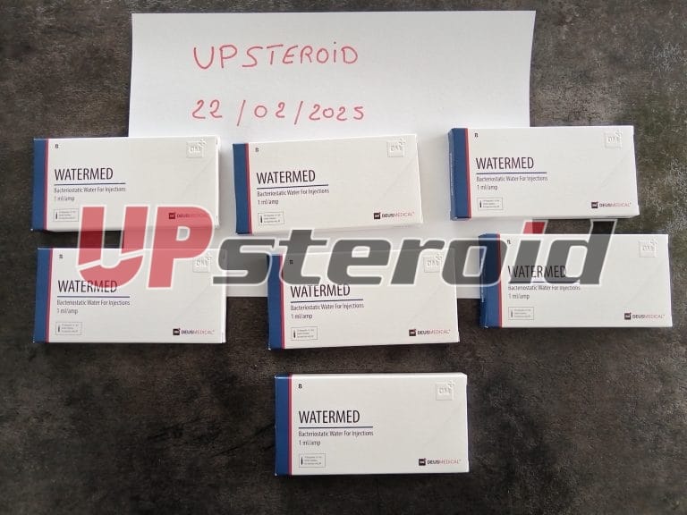 2025 02 25 67bdaf54419d5 写真1a