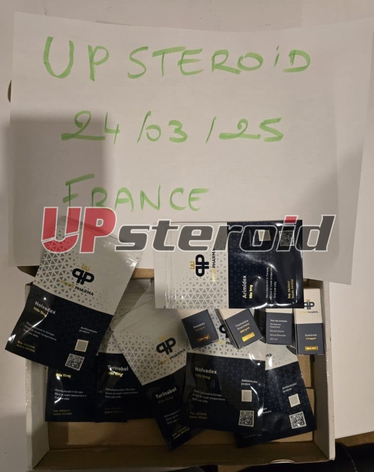 2025 03 27 67e4a8acee8ac スクリーンショット 20250327 022319 ギャラリー