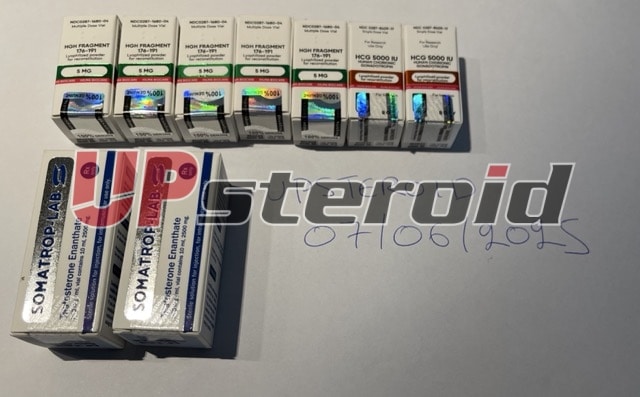 2025年7月7日 686bc8c3c46f9 tMedium