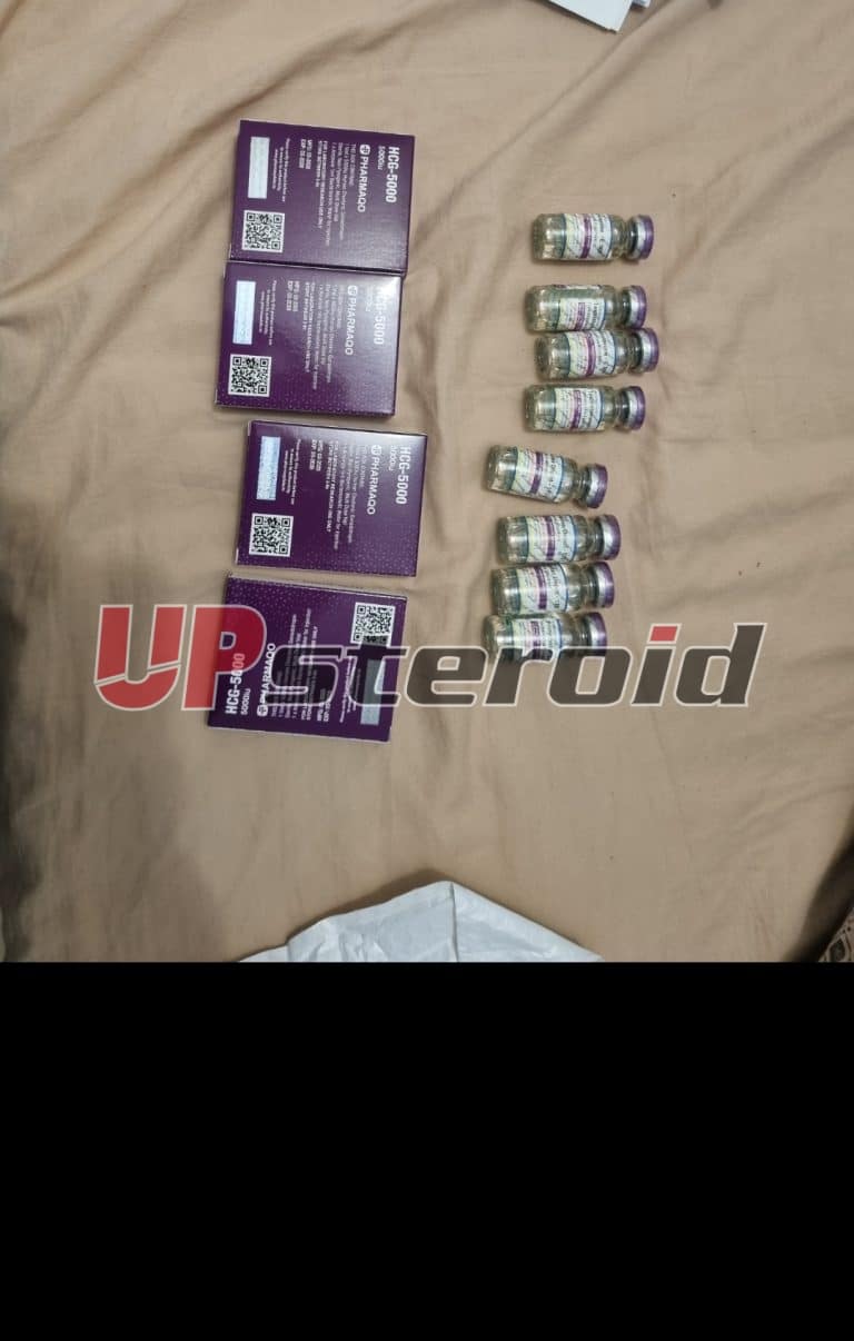 2025 08 04 68913be446f01 スクリーンショット 20250805 010032 ギャラリー