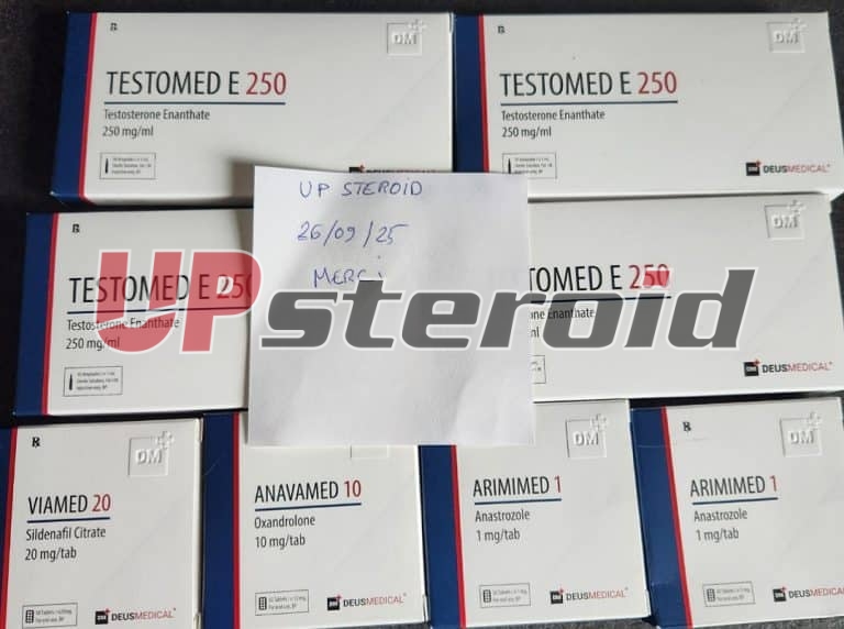 2025 10 04 68e0dbe73d33e IMG 20251004 102809 1080 x 805 ピクセル