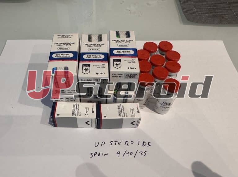 2025 10 09 68e7b0ad0aa28 写真9 10 25143149