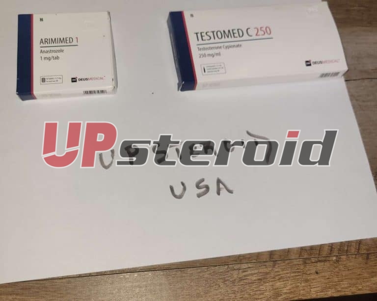 2025 10 31 6904483a59f69 画像 2025 10 31 00 24 12