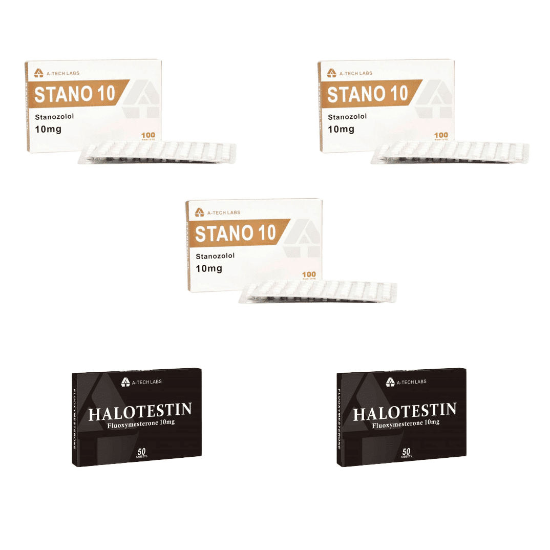 エンデュランスパック ハロテスチン ウィンストールAテック