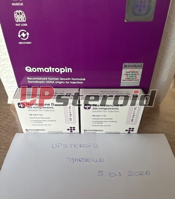 2026 01 06 695cc7139e385 画像0