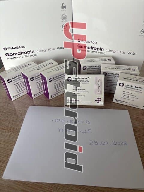 2026 01 26 697711e471ae9 IMG 8151