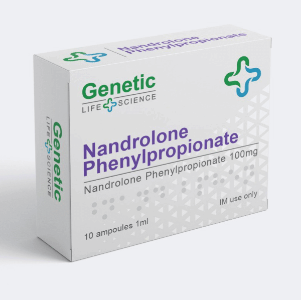 遺伝子npp 10アンプ