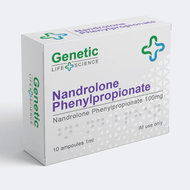 遺伝子npp 10アンプ